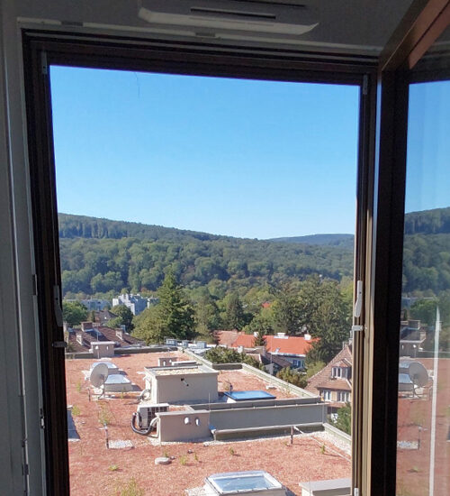 Insektenschutz 8 geöffnetes Fenster mit einem Insektenschutz Spannrahmen mit Blick von innen nach außen